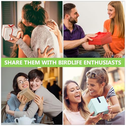 BAZEITFLOW PP�f�� �ϋv���o�[�h�n�E�X ���̉B��� �������A�N�Z�T���[ ���̉a���p ���O���� ���^���� �n���X�^�[ ���X���甠 �����_���J���[