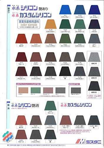 Amazon | 水谷ペイント 水系カスタムシリコン2 艶消し 標準色 15kg 艶 