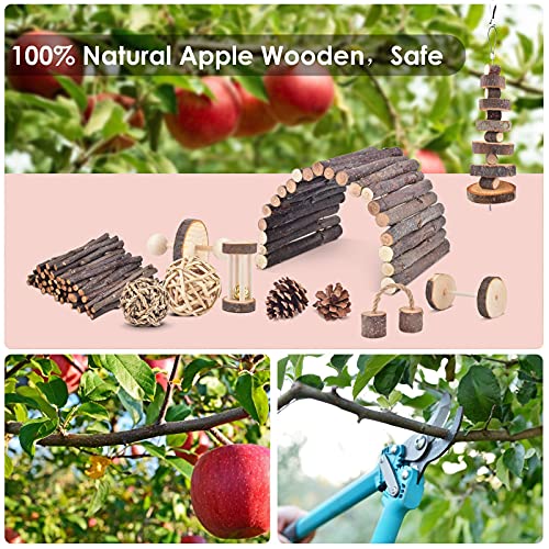 Erkoon 11 Pack Chinchillas Chew Toys, Toys Accessories For Teeth Care, Natural Apple Wood Ladder Bell Roller For Russian Hamster Gerbils Rats Guinea Pigs #TOP2