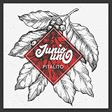  Pitalito