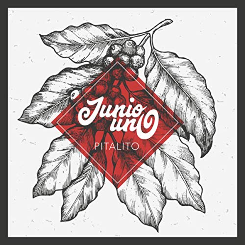  Pitalito