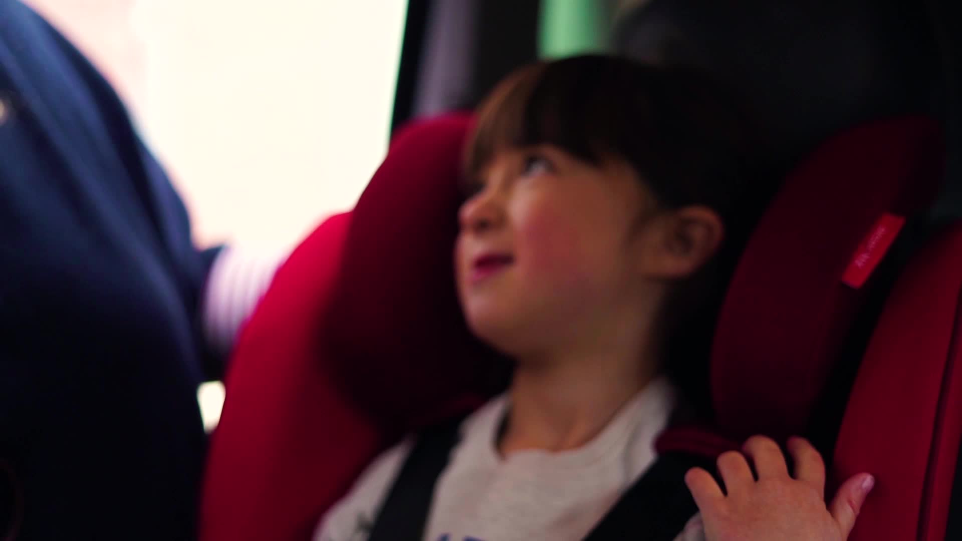 diono traverze stroller amazon