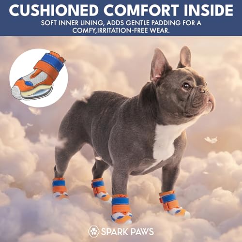 Image of Spark Paws Dog Shoes for Large Small Medium Dogs Breathable Dog Booties for Hiking, Summer Hot Pavement Paw Protectors for Non Slip Rubber Dog Boots for Outdoor (Orange Blue, Size 5)