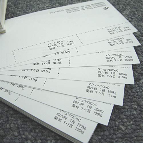 }V}Coc 200kg(0.25mm) B5(257×182mm) 40