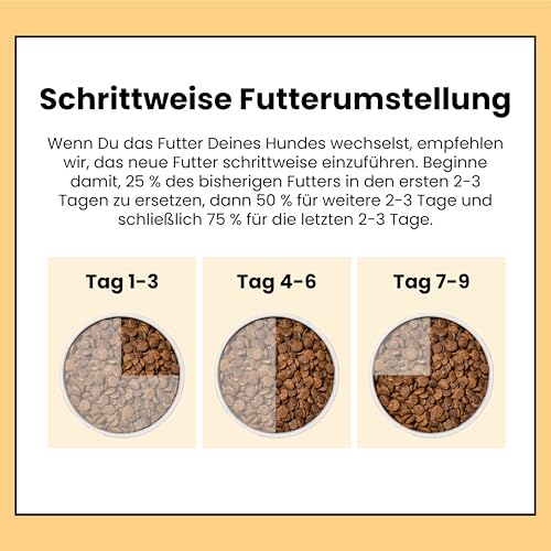 Pooch & Mutt - Haut & Fell, Getreidefreies Alleinfutter für Hunde für Haut und Fell, Hering und Leinsamen, 2 kg