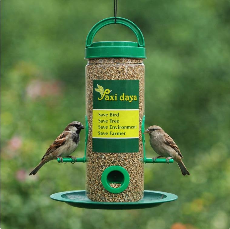 Image of Hanging Bird Feeder for Garden & Balcony | Seed Feeder with Perch Tray | Outdoor Bird Feeding Container for Sparrows & Small Birds (Pack of 1)