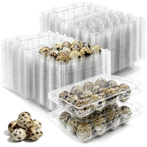 Zmpkhba 100 Pack Quail Egg Cartons 12 Count Clear Egg Trays with Lids
