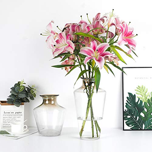 Grote Vaas, 25 Cm / 35 Cm Hoogte Glazen Vaas Slaapkamer Restaurant Entree Vaas Nep Bloem Tulpenvaas, Dikke Duurzame Vaas(Color:B,Size:12 * 12 * 35CM) - Afbeelding 5