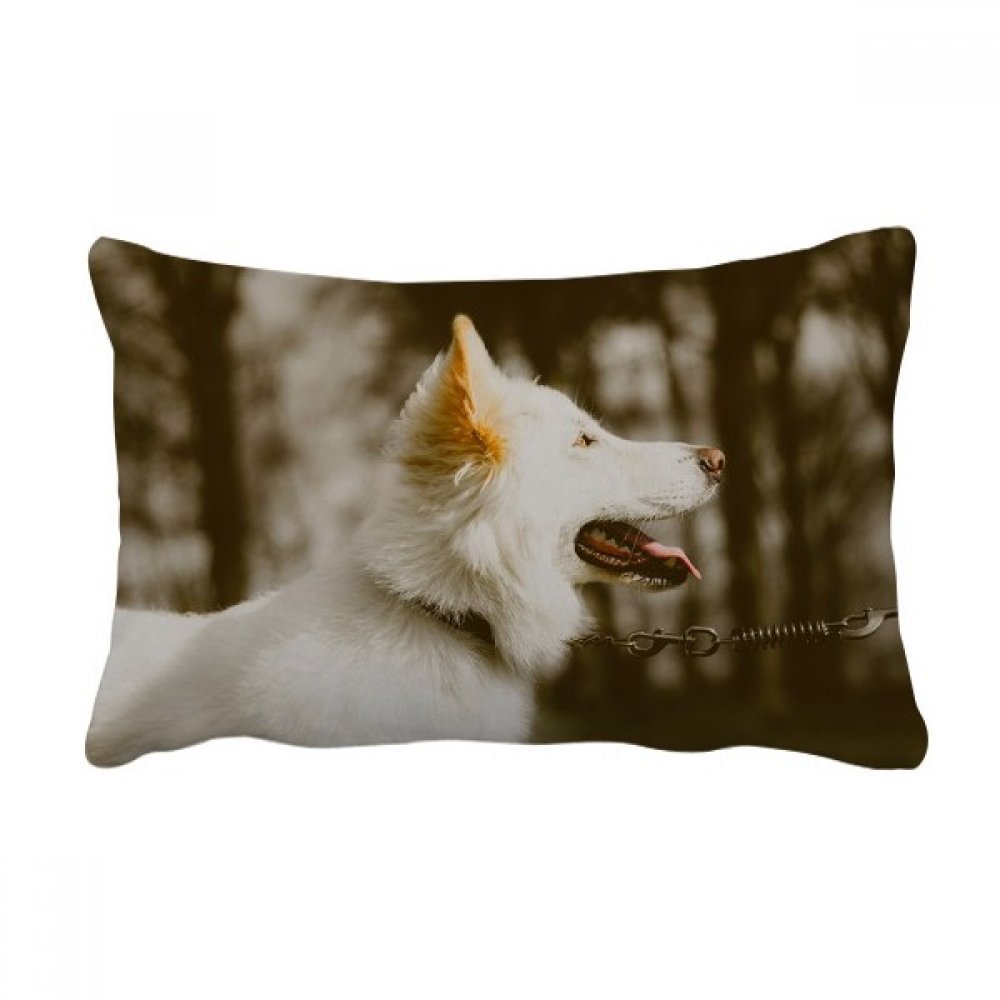 Coussin Chien Blanc Oreiller Lombaire 40x60 cm pour Canapé Salon