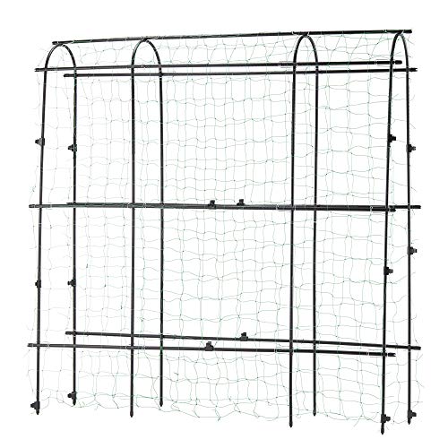 Garden Gear 1.8 x 1.8m Pea & Bean Tunnel Four Arches with Mesh Netting Included Protection for Crops & Plants