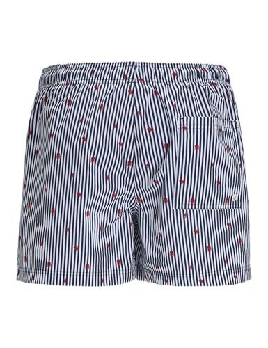 Bañador mini stripe tipo bermuda corta de baño transpirable 4
