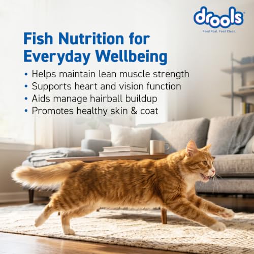 Image of Drools Adult Dry Cat Food (2.8kg+1kg) 3.8kg | Tuna & Salmon | Better Vision & Shiny Coat | Complete Nutrition | No Preservatives