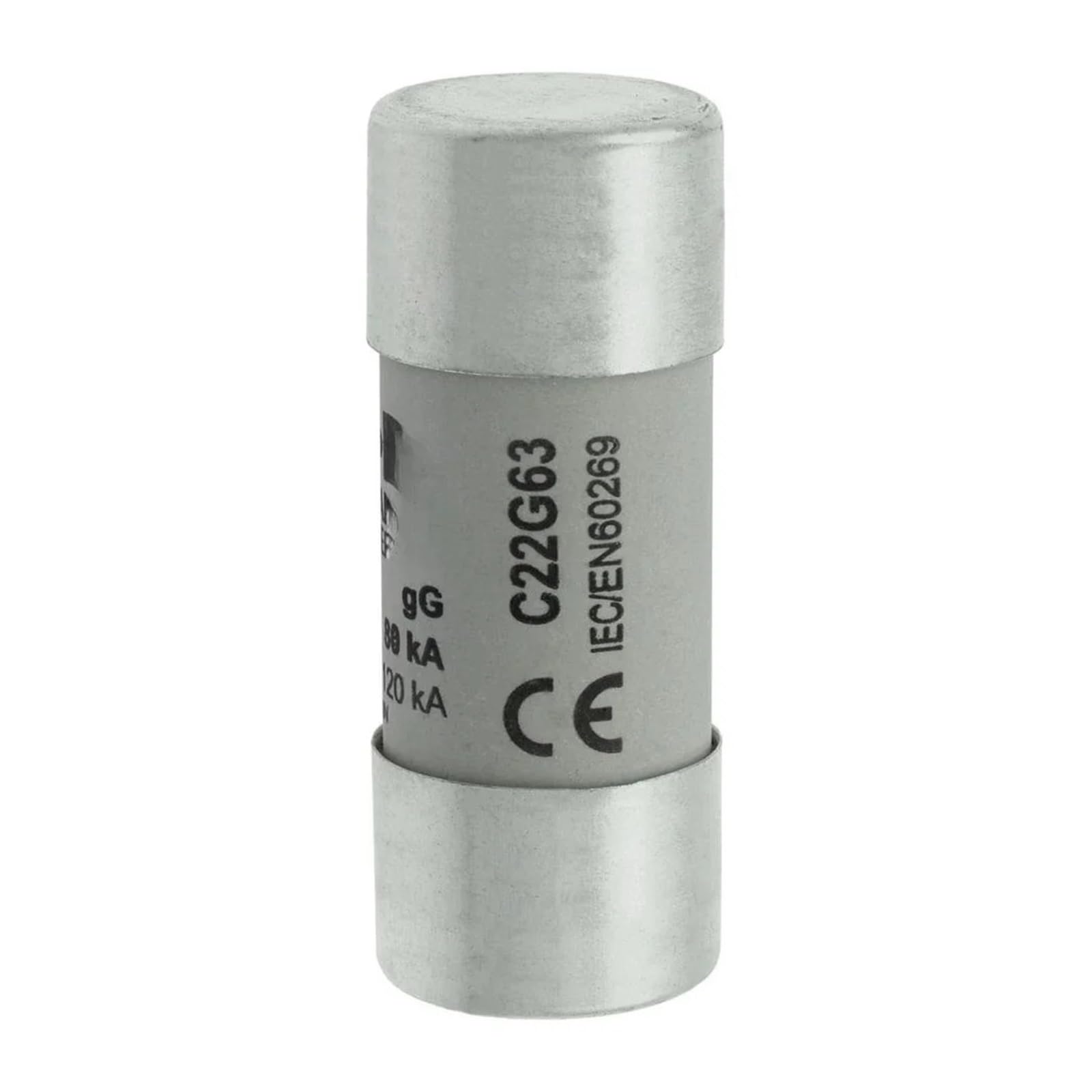 Fusible C22G100 gG 22x58mm cartouche cylindrique de rechange pour armoire electrique triphasee