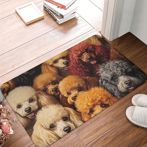 XOPEKVLAWM Paillasson de bienvenue en caoutchouc antidérapant lavable - Tapis de porte d'entrée caniche - Tapis de cuisine pour extérieur et intérieur -...
