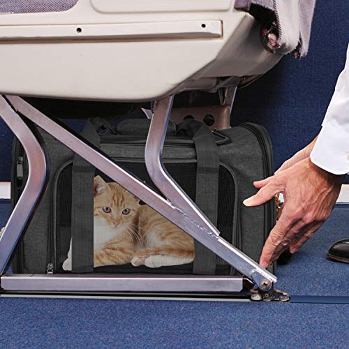 Qlfyuu Transporttasche für Katze Hund, Faltbare Tragebox für Mittel Kleine Haustiere im Flugzeug, Transportbox für Haustiere , 15lbs Katzen Hunde Tragebox(Schwarz, Medium)