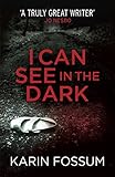 karin fossum sejer order  I Can See in the Dark