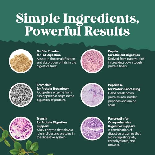 Natures Craft Ox Bile Complex with Enzymes