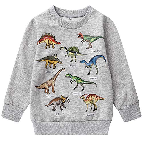 Image of Popshion Toddler Boys Sweatshirts Dinosaur Long Sleeve Pullover Crewneck Shirts Cartoon Tee Sport Tops for Kids 1-8T