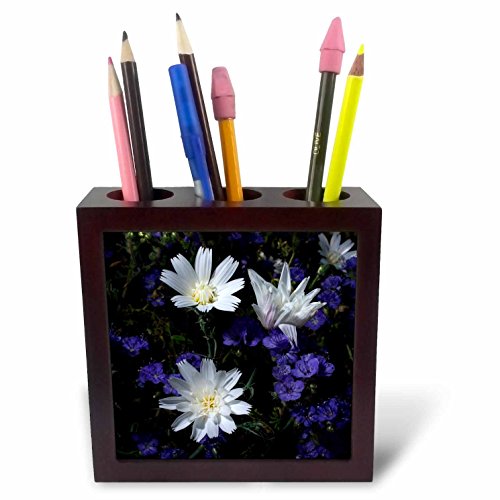 3dRose USA, California, Anza-Borrego Desert SP Chicory and Phacelia Tile Pen Holder, 5" (ph_209062_1)