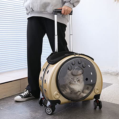 Sac de transport pour chat approuvé compagnie aérienne