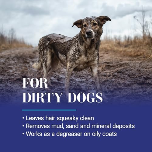 Image of Chris Christensen Clean Start Clarifying Dog Shampoo - Pro-Vitamin Formula that Won't Strip the Coat! Removes Product Build-up, Waxes, Oil and Dirt (16 Ounces)