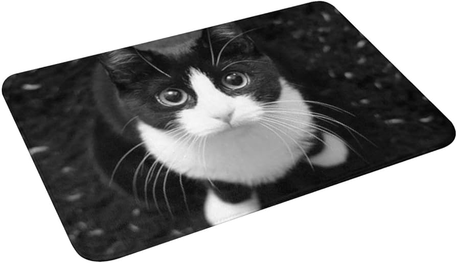 Amazon | 玄関マット 八割れ 猫 ハチワレ猫ちゃん バスマット