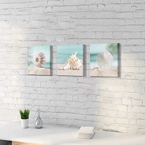 Hardy Gallery Seashells Wall Art Canvas Print: Seashore Scene Artwork Painting For Wall Decor For Hallway (12''X12''X3Pcs) #TOP2