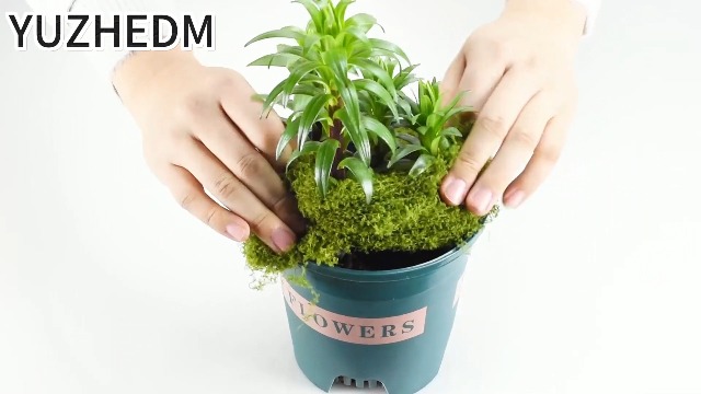 Mousse Artificielle 100g - Vert Foncé - Décoration Jardin/Aquarium/DIY - Réutilisable Et Sans Entretien