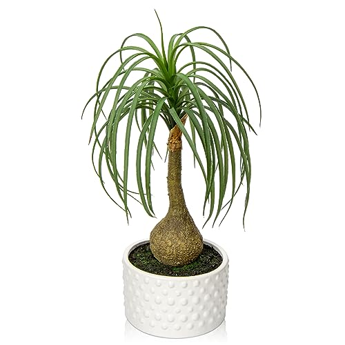 Oairse Fake Plants in Ceramic Pots 41CM Artificial Ponytail Palm Plant Potted Decorative Faux Bonsai Tree Realistic House Plant for Home Office Decor Desk Bathroom Bedroom Shelf Table Decoration