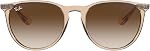 Ray-Ban unisex-adult 0rb4171Sunglasses