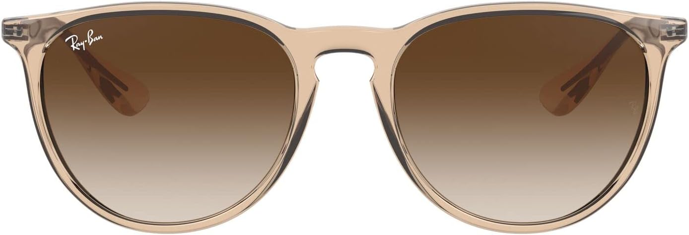 Rb4171 Erika Round Sunglasses
