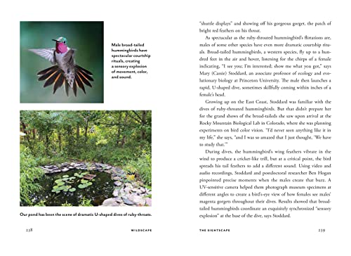 Wildscape: Trilling Chipmunks, Beckoning Blooms, Salty Butterflies, and other Sensory Wonders of Nature (-) - Image 14