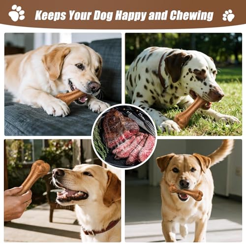 Jouet à mâcher robuste pour chien de grande taille SCHITEC - 15