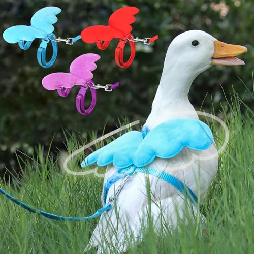 Image of SATINIOR 3 Pack Harness and Leash for Pet Ducks, Real Duck Collar and Leash Soft and Adjustable Harness Training Traction Rope Collar for Young Adult Pet Goose Chicken Hen(Blue Red Purple,S)