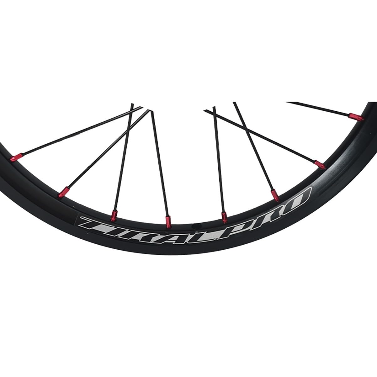 Amazon.co.jp: 折りたたみ自転車ホイールセット 14インチ/16インチ 305