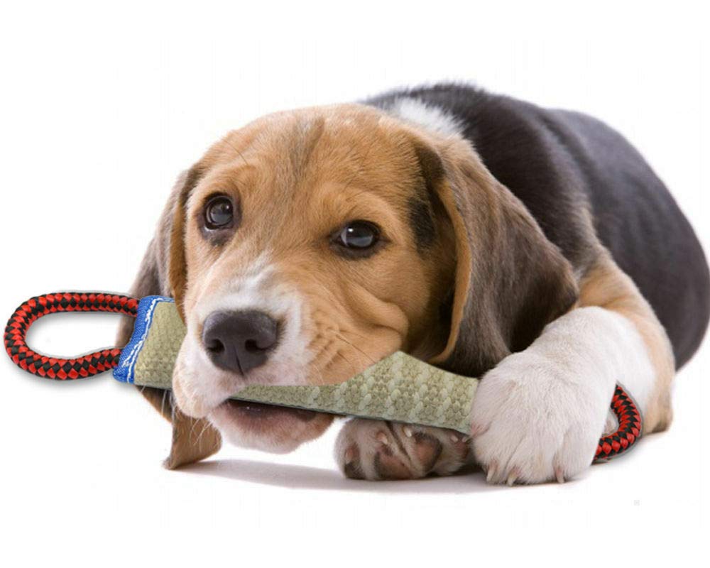 B-Creative, Giocattolo per Cani in Lino Resistente, con 2 Manici, per Bassotto della Polizia K9
