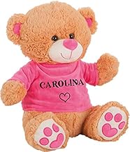 Personalised Teddy Bear with Name Teddy Bears with Velvet T-Shirt in Pink or Blue Gift Friend Birthday Mother's Day Gift