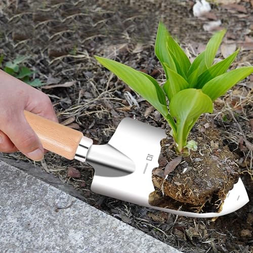 Pala de Jardín con Mango de Madera y Acero Inoxidable miniatura 4