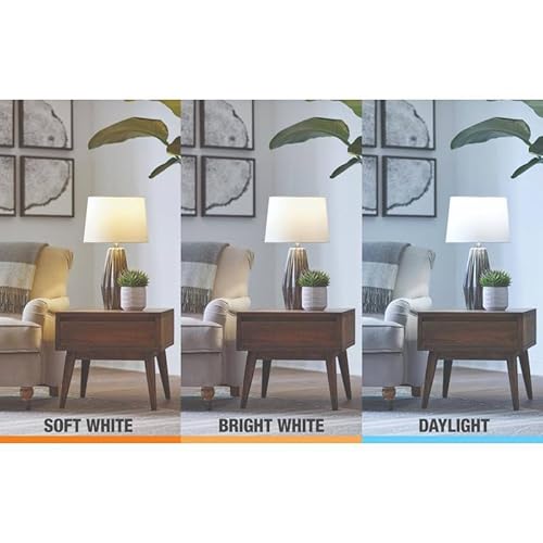 image for EcoSmart A15 LED Light Bulbs | Clear | Vintage Filament | 450 Lumens |