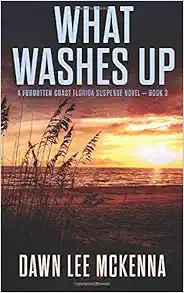What Washes Up (The Forgotten Coast Florida Suspense Series) book cover