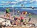 White Mountain Puzzles Shell Seekers -550 Piece Jigsaw Puzzle