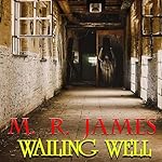 Cover of Wailing Well