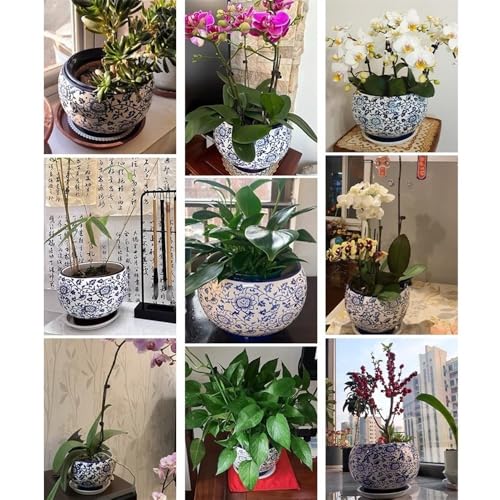 Pot de fleurs en céramique style chinois bleu et blanc pour salon de luxe
