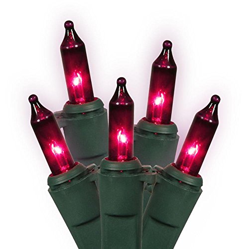 Vickerman Mini Light Set Features 100 Bulbs Lights on Green Wire and 4