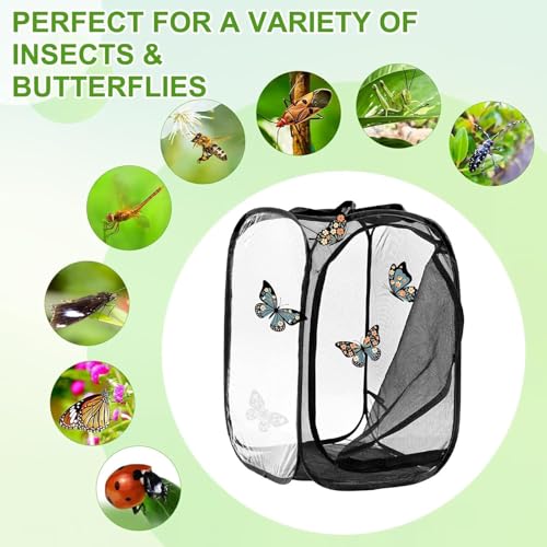 Vivero de mariposas portátil para proteger orugas en árboles frutales 8