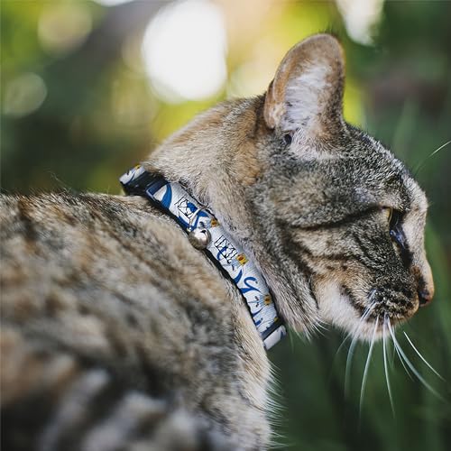 Collar de Gato con Campana para Evitar Pérdidas en Casa Estampado Adventure Time 3