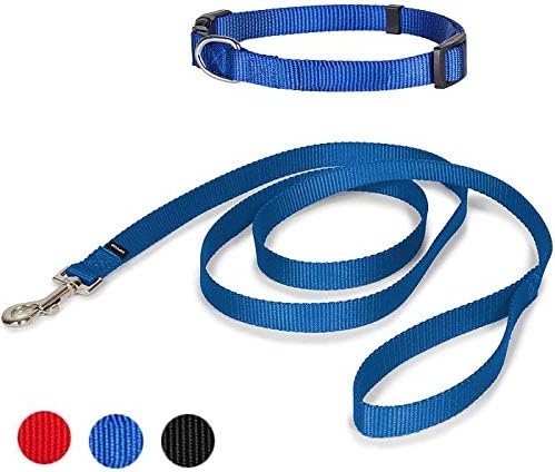 Dog Leash Collar Set, 3/4 inch 6ft Blue Color Strong Durable Traditional Style Leash with Bolt Snap for Medium Dogs