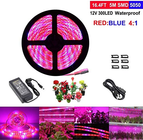 LED Strip Light, Topled Light Plant Grow Light with Power Adapter, 5050 SMD Waterproof Full Spectrum Red Blue 4:1 Rope Lamp for Aquarium Greenhouse Hydroponic Plant Veg Garden Flowers (5 M)