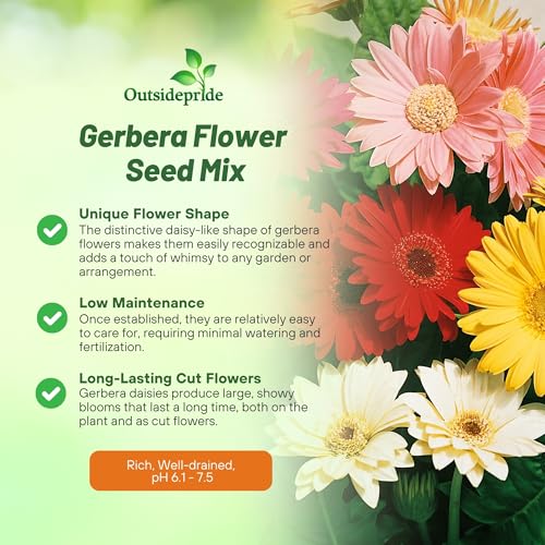 Outsidepride Hybrids Mix Gerbera Seeds - 100 Pcs Perennial, Compact & Low Maintenance, Flower Seeds for Planting w/Vibrant Mixed Blooms, Ideal for Garden Landscaping & Cut Flower Arrangements