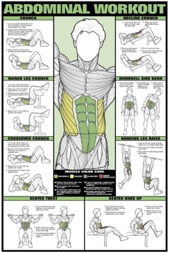 Abdominal Workout 24" X 36" Laminated Chart
